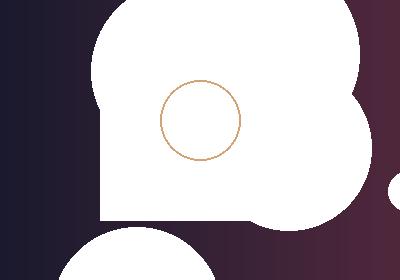 Complete brand identity package with guidelines and colour swatches